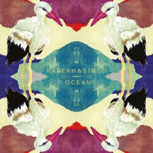 parekh-singh-ocean